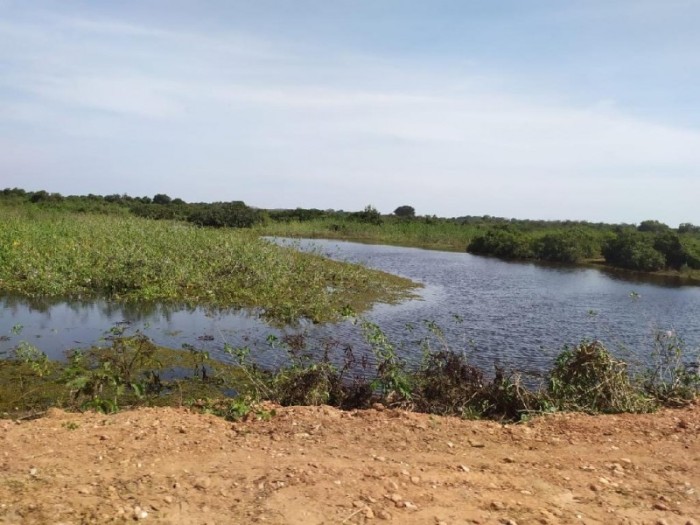 Relatório aponta que 65% dos pontos monitorados da Transpantaneira estão com água