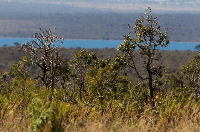 A proposta teve origem em sugestão legislativa apresentada por participantes do programa Jovem Senador - Dorivan Marinho/Agência Senado