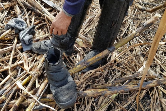 O trabalho análogo à escravidão ainda é uma realidade no Brasil - (Foto: Divulgação/MPT)