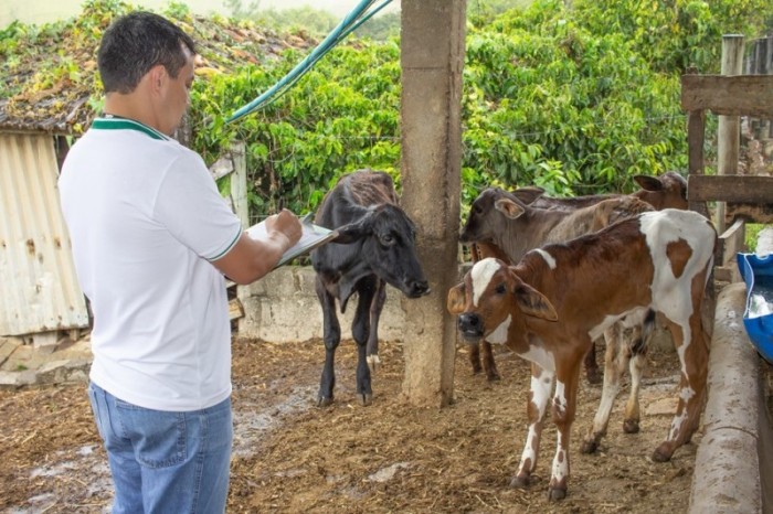 Foto: Reprodução/Secom Espírito Santo