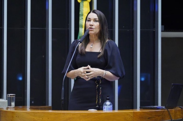 Para Margarete Coelho, medida pode evitar procedimentos irregulares - (Foto: Pablo Valadares/Câmara dos Deputados)