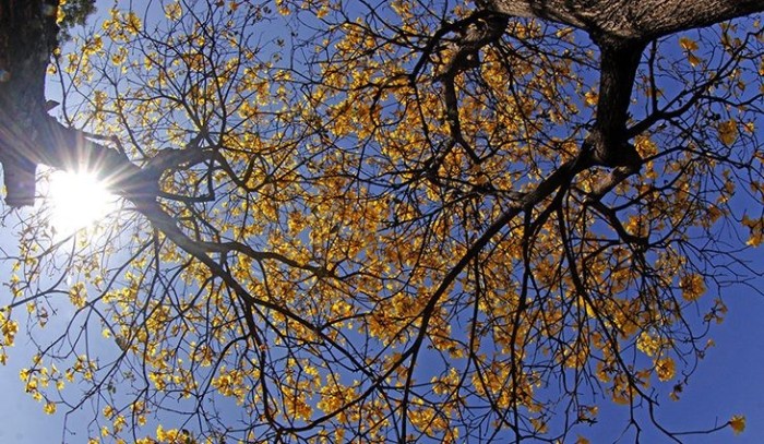 Semana de tempo firme e aumento de temperaturas em todo Estado