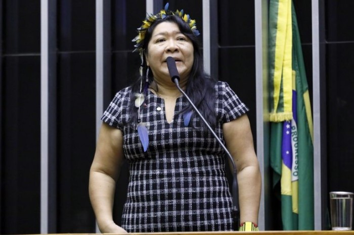 Joenia lamenta que já seja a terceira alteração nos limites do parque - (Foto: Cleia Viana/Câmara dos Deputados)