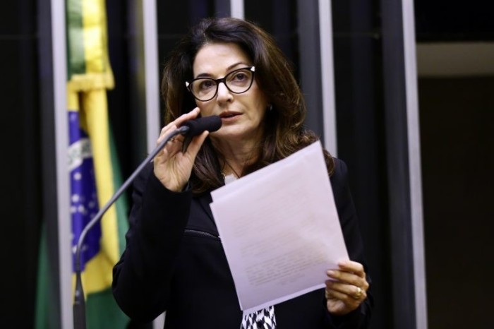 Norma Ayub: “botão do pânico” já é adotado em diversos estados - (Foto: Michel Jesus/Câmara dos Deputados)