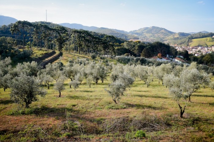 Maria Eduarda Rocha Antonio
