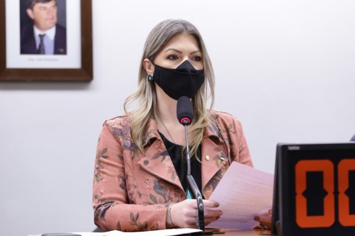 Aline Sleutjes considerou o valor da multa exorbitante - (Foto: Gustavo Sales/Câmara dos Deputados)