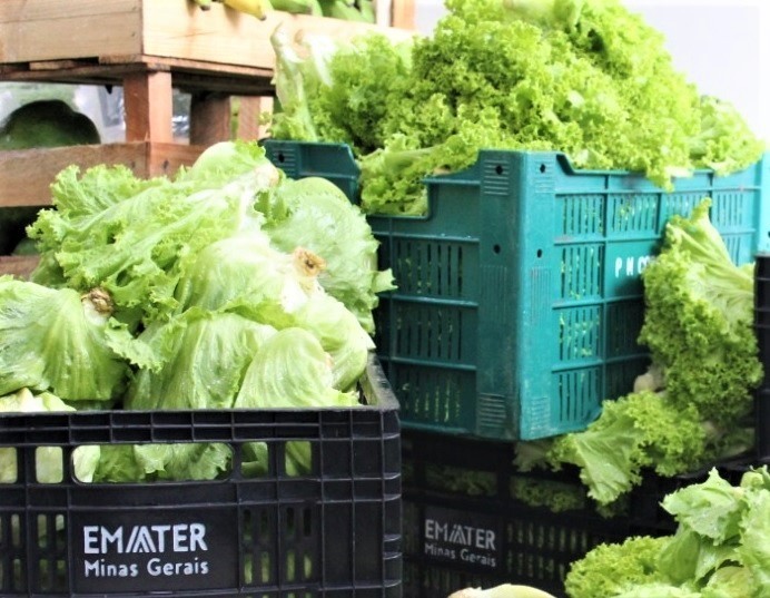 Emater-MG / Divulgação