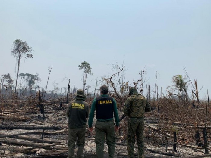 Operação conjunta em Colniza contra desmatamento ilegal - Foto por: Sema/MT