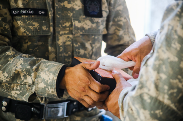Dirceu Aurélio / Sejusp