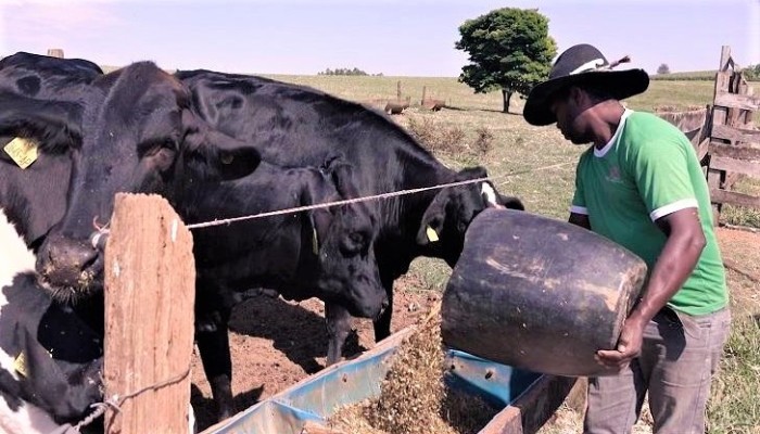 Divulgação / Emater-MG