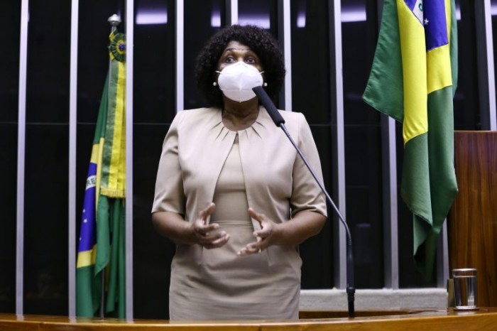 Comissão aprovou texto apresentado pela relatora, Benedita da Silva - (Foto: Najara Araujo/Câmara dos Deputados)