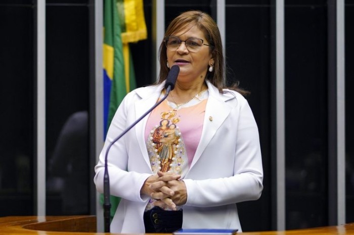 Leda Sadala: gastos não se referem à importância da entidade e sim à fonte dos recursos - (Foto: Pablo Valadares/Câmara dos Deputados)