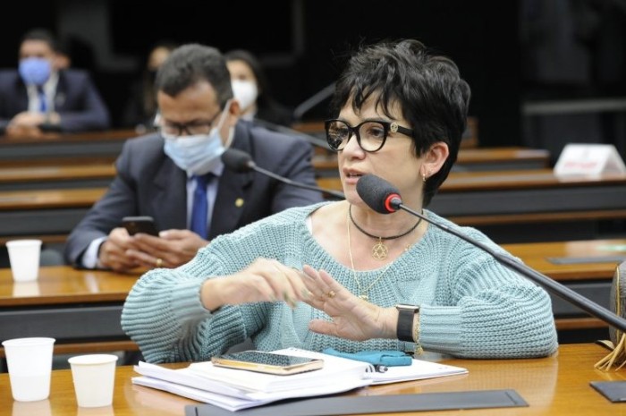 Alê Silva apresentou parecer favorável ao projeto - (Foto: Cleia Viana/Câmara dos Deputados)