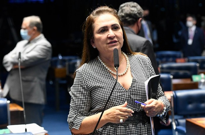O Projeto é de autoria da senadora Katia Abreu (PP-TO) - Jefferson Rudy/Agência Senado