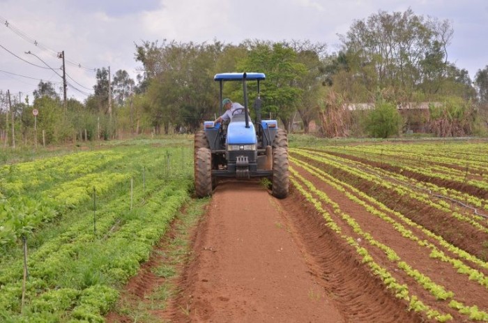 Segundo deputado, agricultores estão tendo dificuldades de acessar linhas de crédito - (Foto: Sebastião Santos/Prefeitura de Uberaba-MG)