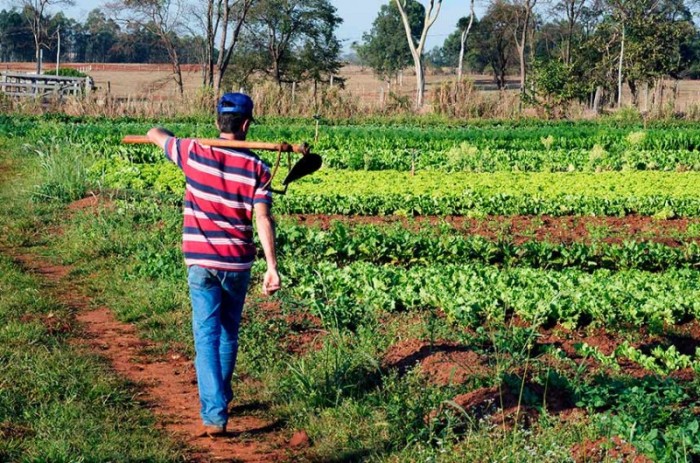 Texto busca corrigir distribuição de verba a agricultores, que hoje favoreceria regiões mais desenvolvidas - Jorge Etecheber/SESC-SP