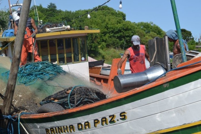 Foto: Divulgação/Agência de Notícias do Paraná