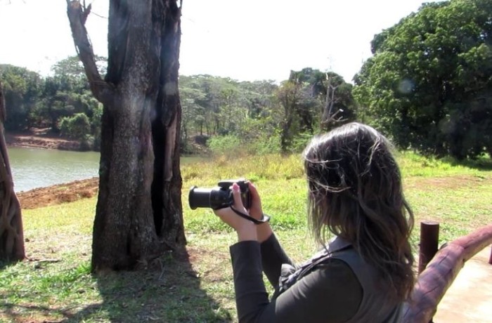 Cine Aves divulga vencedores em live no dia 5 de outubro