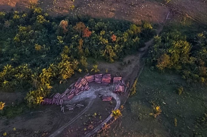 Lideranças denunciam a ação de madeireiros na região sudoeste do Pará - (Foto: Ronan Frias/Governo do Pará)