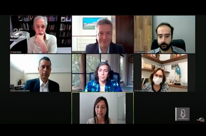 Parlamentares e especialistas durante audiência na Comissão de Meio Ambiente (CMA) do Senado - Reprodução/Tv Senado