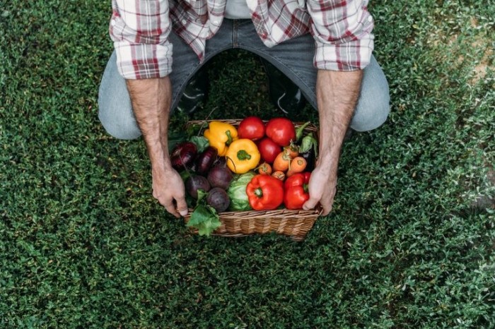 Bioinsumo envolve agentes microbiológicos benéficos para plantas e animais - (Foto: Depositphotos)