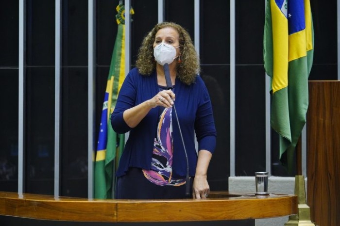 Jandira recomendou a aprovação, com alterações - (Foto: Pablo Valadares/Câmara dos Deputados)