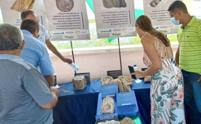 Exposição de fósseis vegetais do Monumento Natural de Árvores Fossilizadas do Tocantins marca programação do 73° aniversário de Filadélfia
