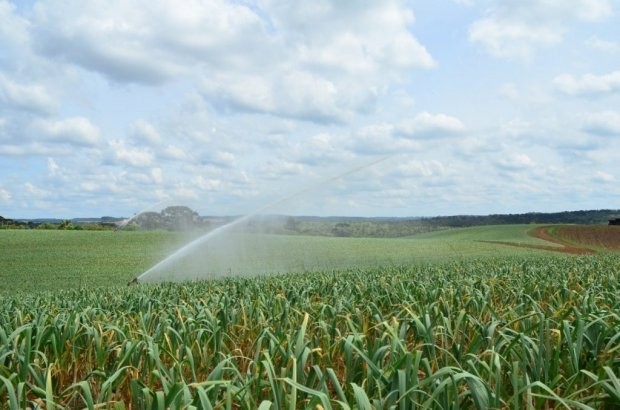 Foto: Divulgação / Epagri