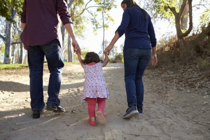 Furtado: alienação parental é das infrações mais graves que pais e mães podem cometer contra seus filhos - (Foto: Cleia Viana/Câmara dos Deputados)