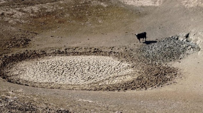 Estiagem já atinge 98 dos 184 municípios pernambucanos - (Foto: A. Duarte)