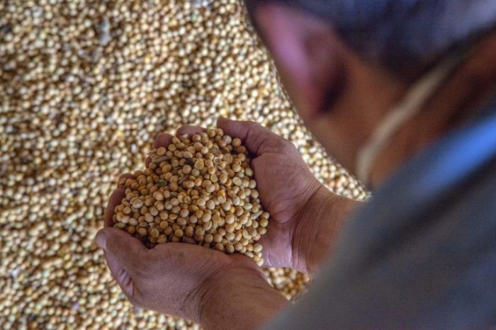 Comissão de Agricultura avalia atuação da Embrapa