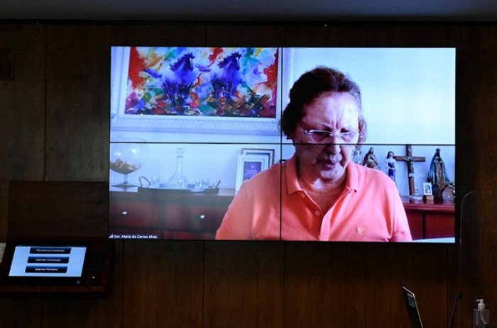 A senadora Maria do Carmo relatou o projeto na comissão - Roque de Sá/Agência Senado