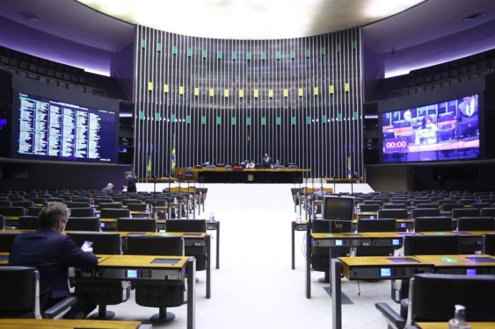 Sessão de votação é realizada remotamente por causa da pandemia - (Foto: Najara Araujo/Câmara dos Deputados)