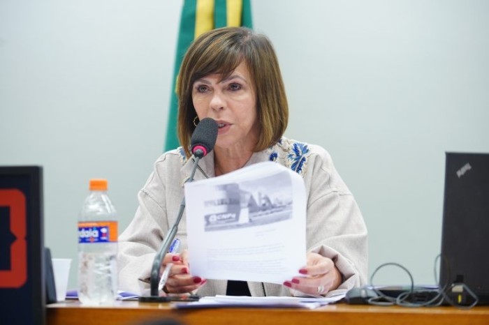 Dorinha Seabra Rezende, presidente da Comissão de Educação - (Foto: Will Shutter/Câmara dos Deputados)