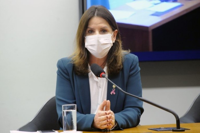 Carmem Zanotto recomendou a aprovação de substitutivo - (Foto: Gustavo Sales/Câmara dos Deputados)