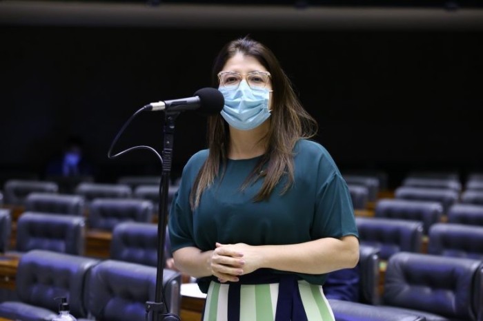 Comissão debate possibilidade de acolhimento temporário de crianças por família na fila de adoção