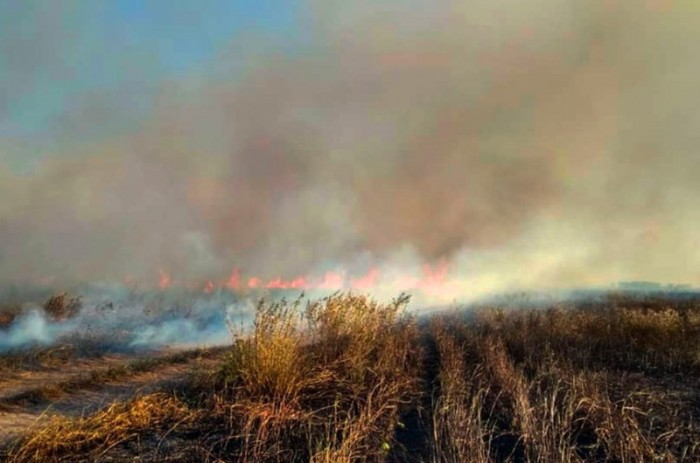 Uma das grandes preocupações dos senadores é com os recorrentes períodos de queimada entre 2020 e 2021 - Divulgação/Corpo de Bombeiros de MS