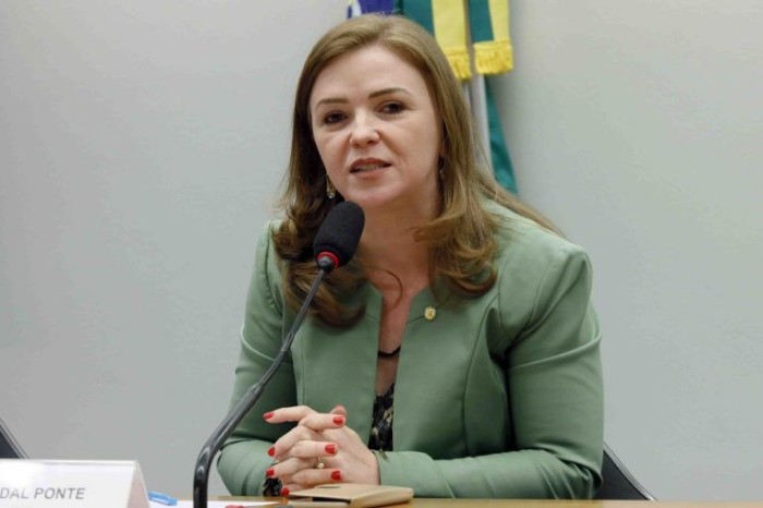 Leandre recomendou a aprovação da proposta - (Foto: Luis Macedo/Câmara dos Deputados)