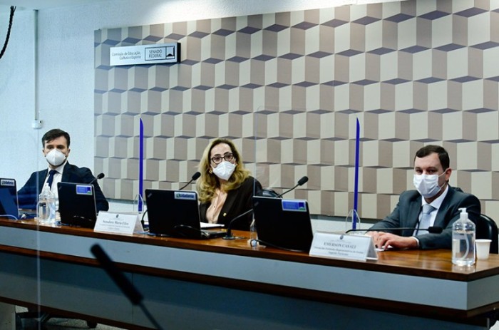Senadora Maria Eliza comanda o debate na Comissão de Educação - Geraldo Magela/Agência Senado