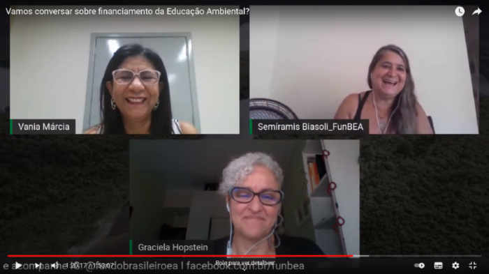 Webinar do Fundo Brasileiro de Educação Ambiental - Foto por: Reprodução