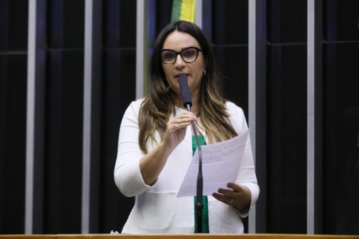 Rejane Dias explica que a intenção é facilitar a execução de ações para pessoas com deficiência - (Foto: Najara Araujo/Câmara dos Deputados)