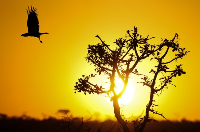 Pedro Ventura/Agência Brasília