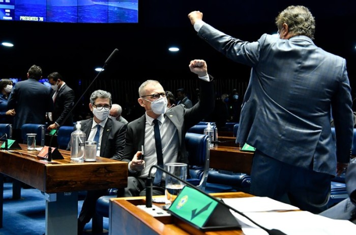 Senadores comemoram a aprovação do projeto, que agora segue para a Câmara