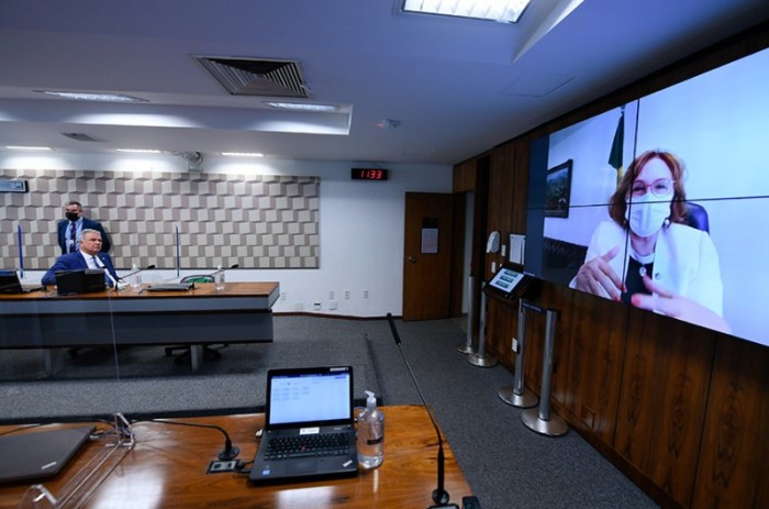 Relatora, Zenaide Maia (no telão) apresentou substitutivo a projeto de Randolfe Rodrigues - Edilson Rodrigues/Agência Senado