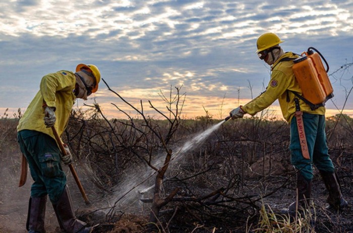 A utilização do fogo de maneira controlada, é uma importante ferramenta de redução ou eliminação de incêndios florestais, diz o autor do requerimento, Zequinha Marinho
