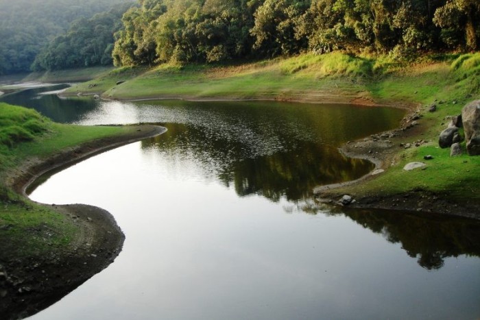Floresta tropical recupera 80% do estoque de carbono e da fertilidade do solo