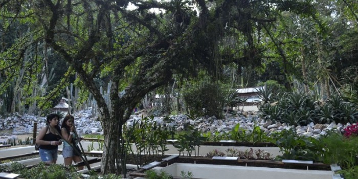 Jardim Botânico do Rio de Janeiro realiza a Semana do Bioma Pampa