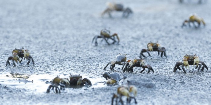 © Tomaz Silva/Agência Brasil