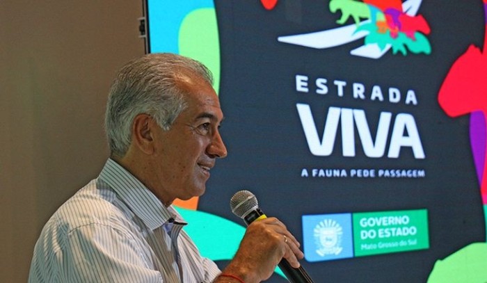 Governo institui manual para reduzir atropelamento de animais silvestres nas rodovias