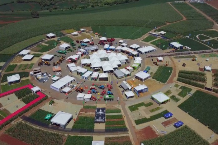 Foto: agro100.com.br